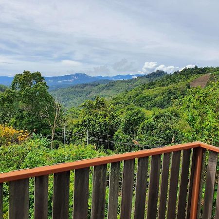 The Cloud Kinabalu- Chalet Ranau Eksteriør bilde
