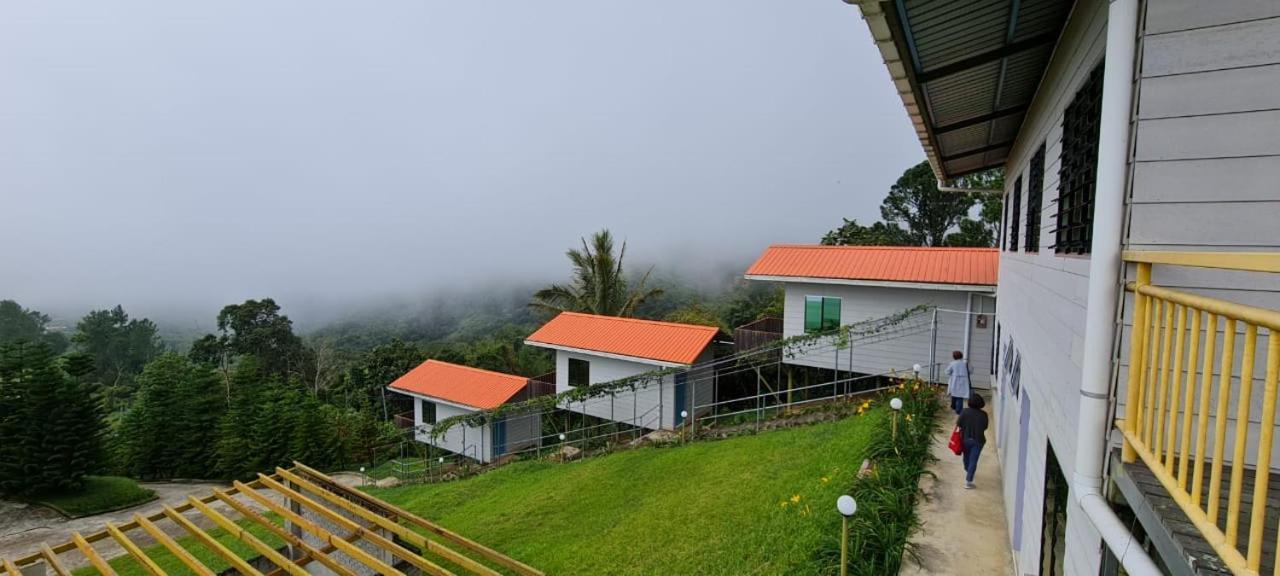 The Cloud Kinabalu- Chalet Ranau Eksteriør bilde